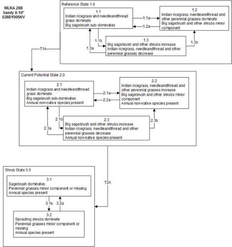 Model diagram