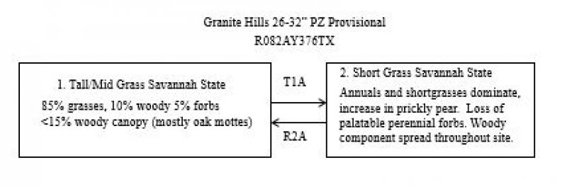 Model diagram