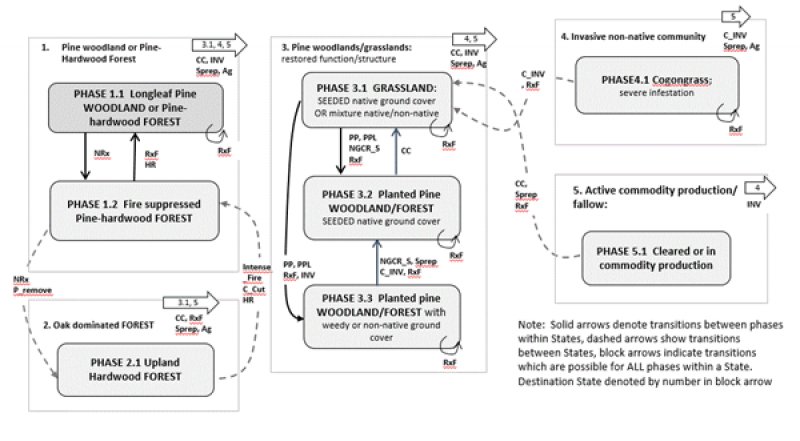Model diagram