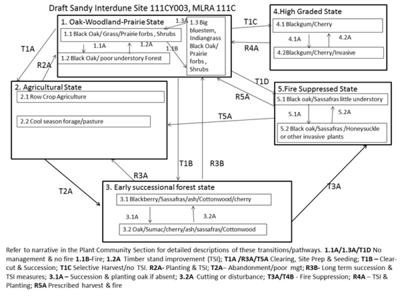 Model diagram