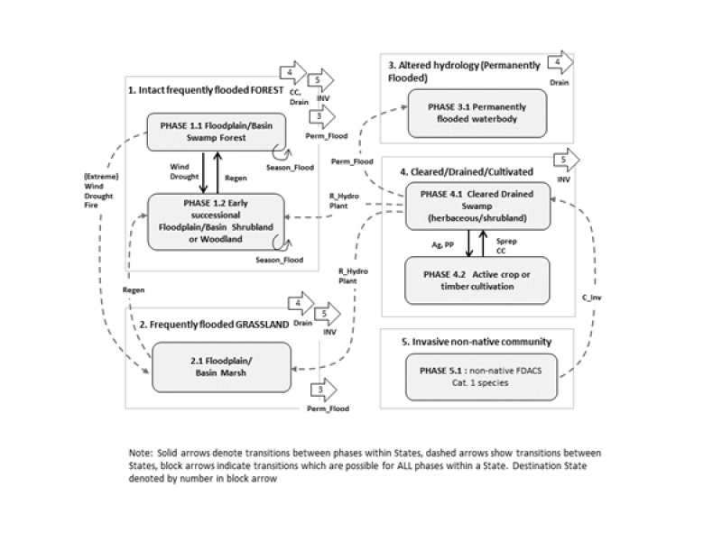 Model diagram