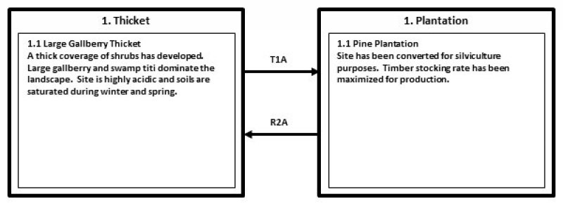 Model diagram