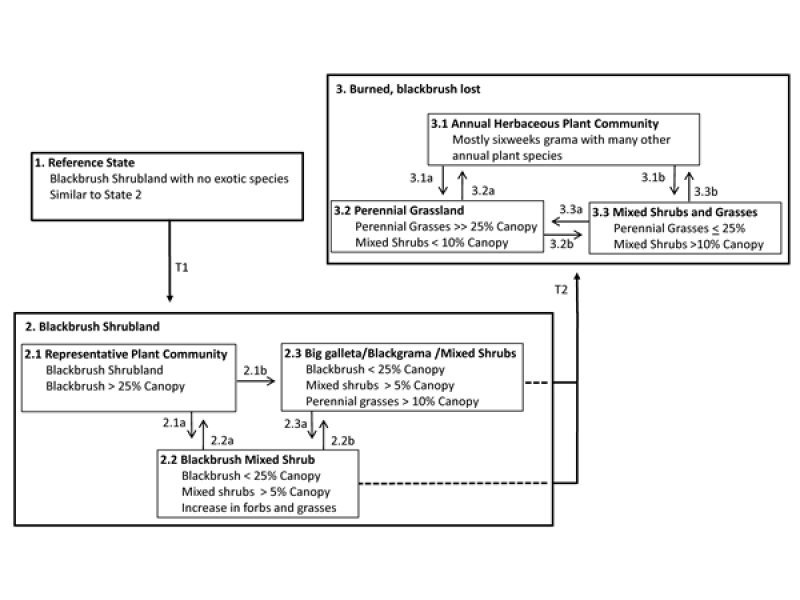 Model diagram