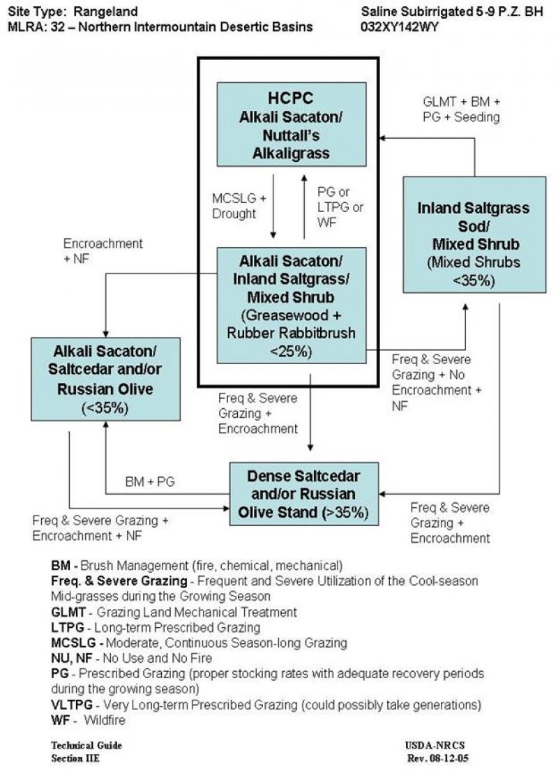 Model diagram