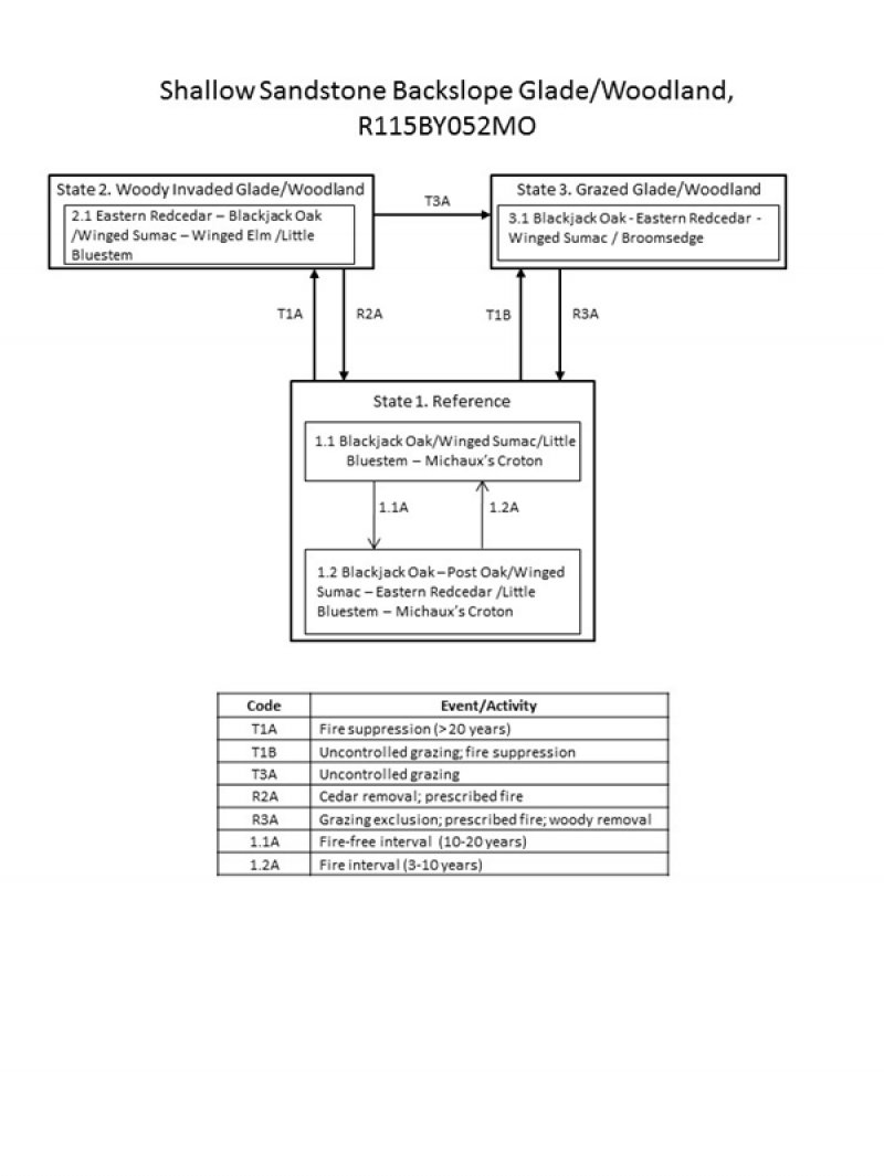 Model diagram