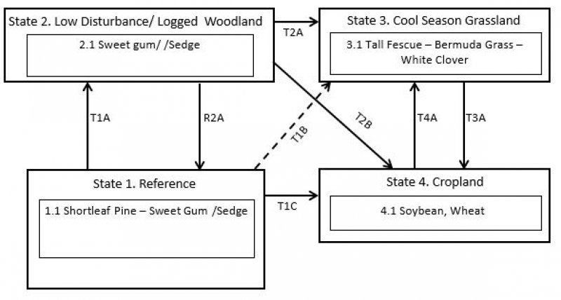 Model diagram