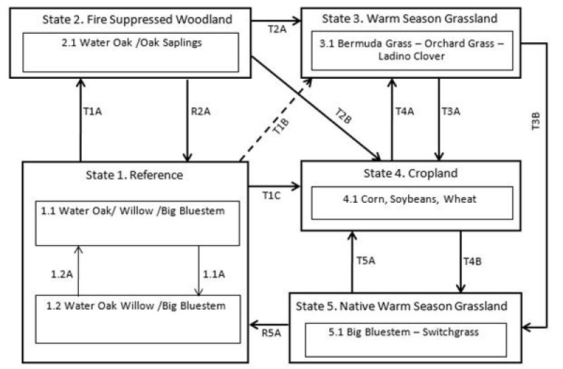 Model diagram
