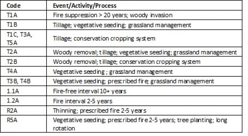 Model diagram