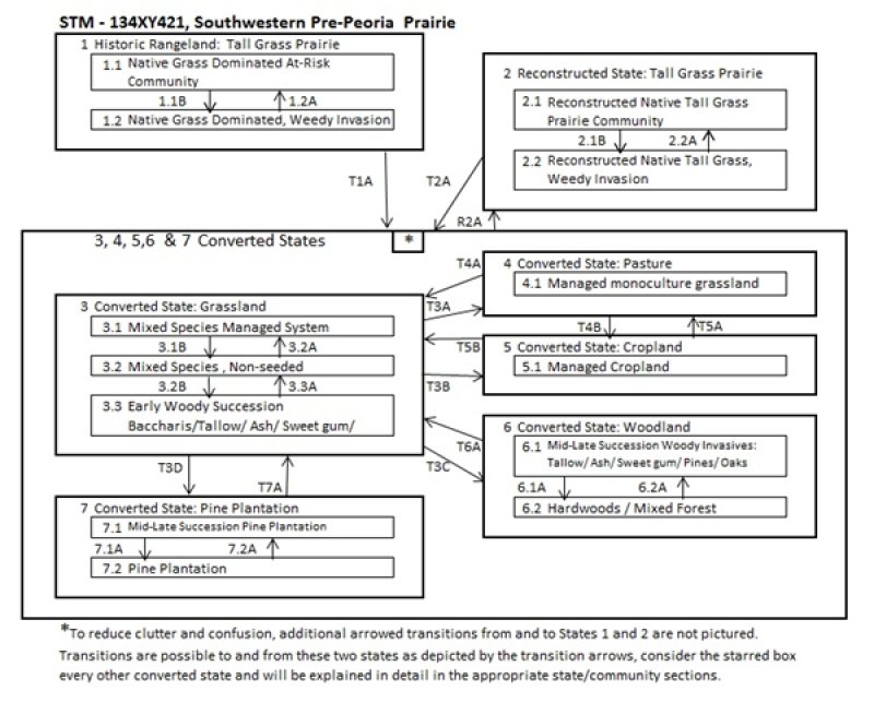 Model diagram