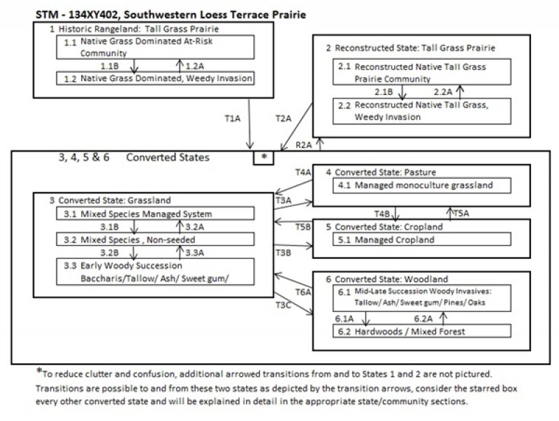 Model diagram