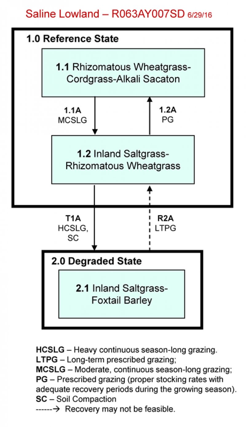 Model diagram