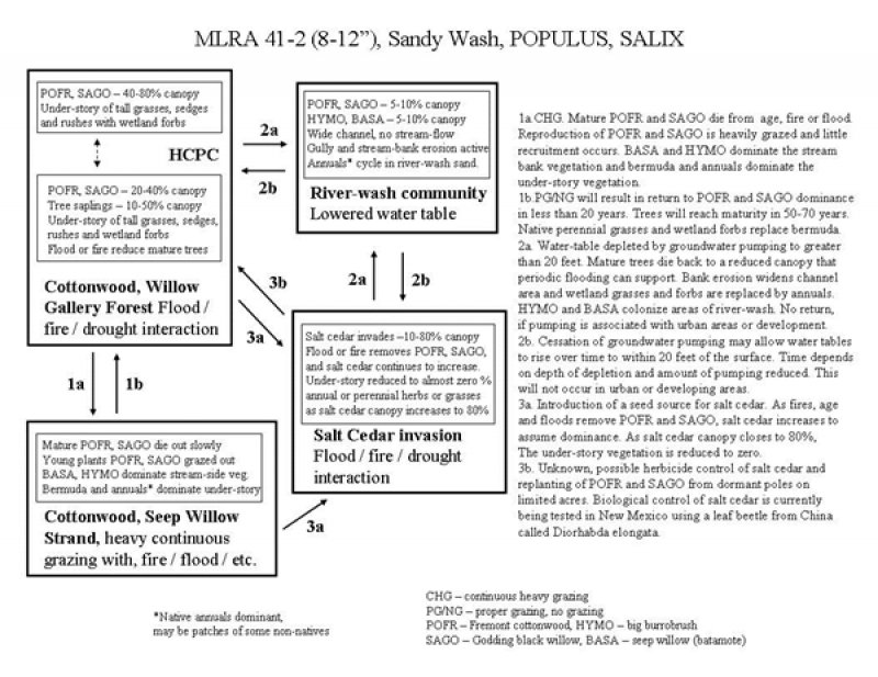 Model diagram