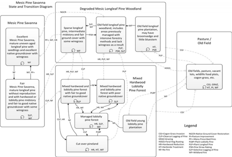 Model diagram