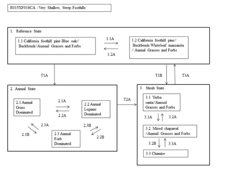 Model diagram