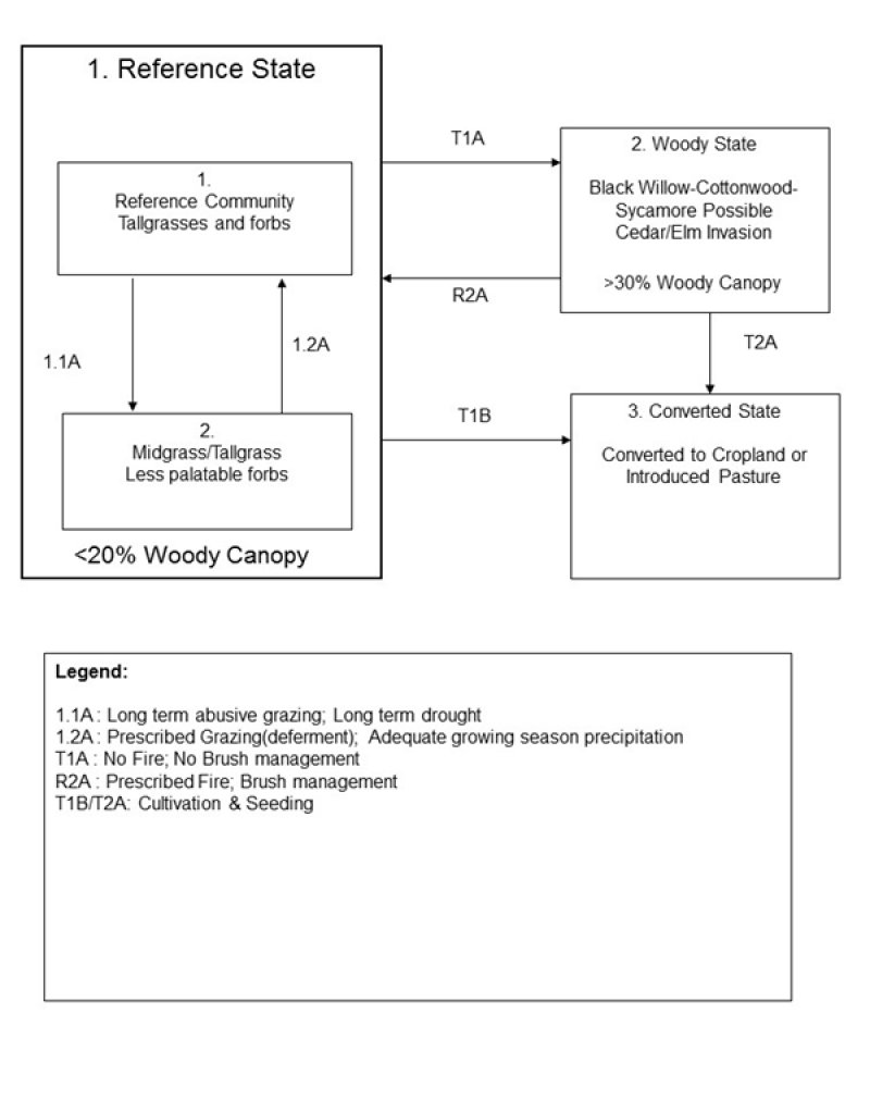 Model diagram