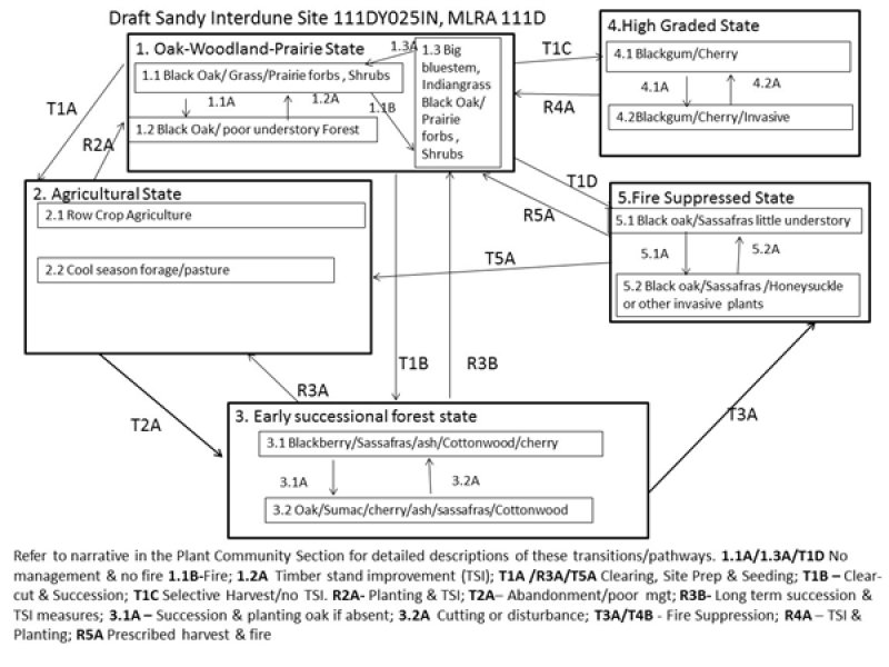 Model diagram