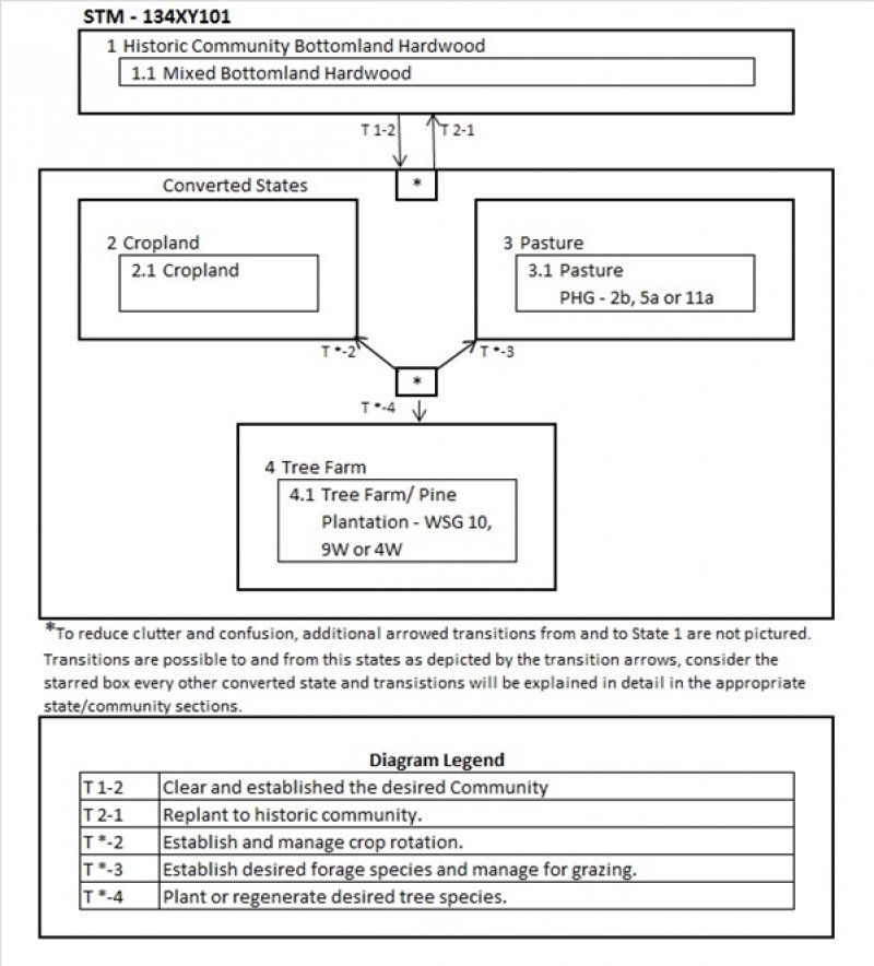 Model diagram