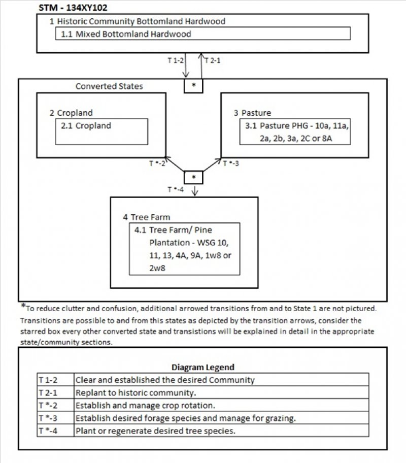 Model diagram