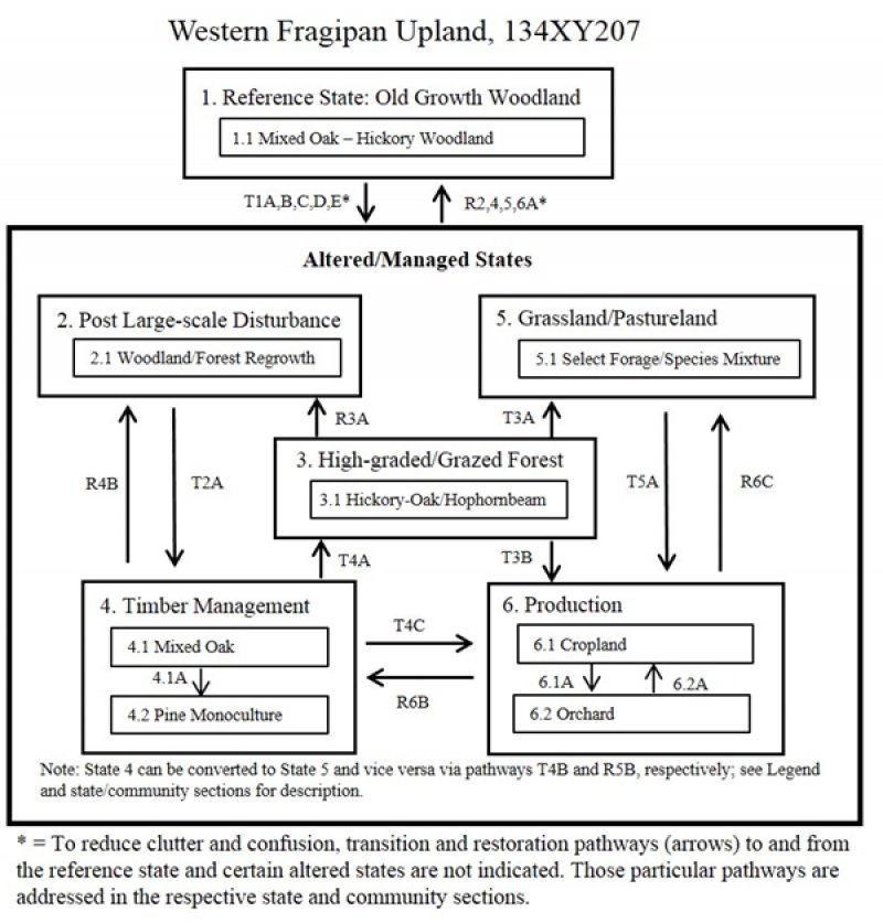 Model diagram