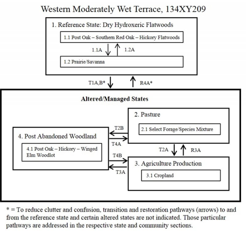 Model diagram