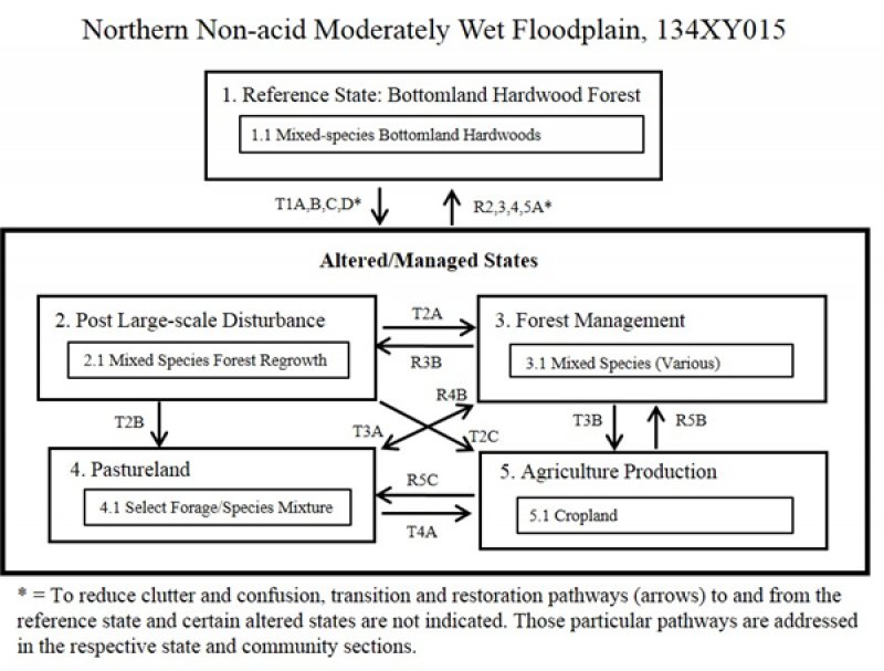 Model diagram