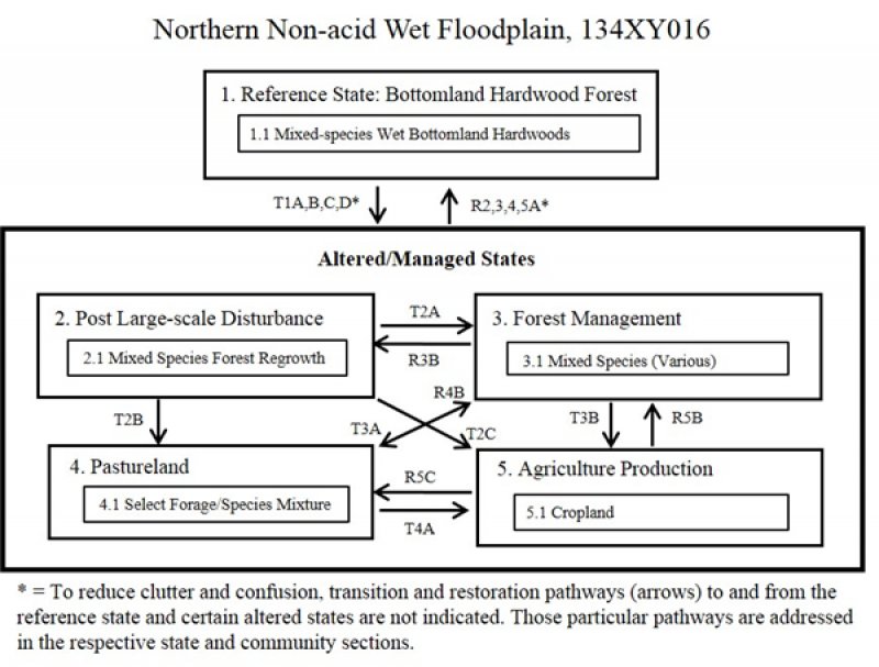 Model diagram