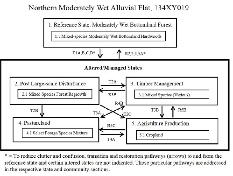 Model diagram