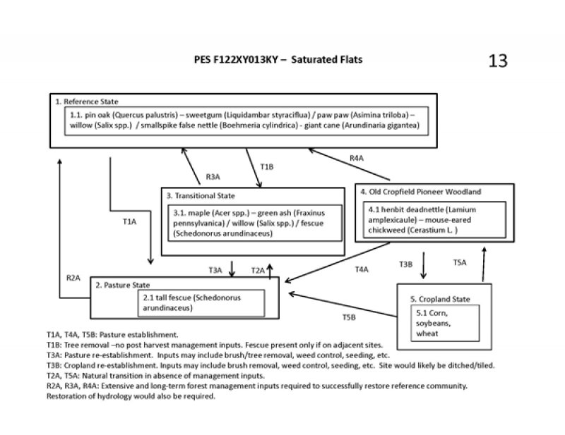 Model diagram