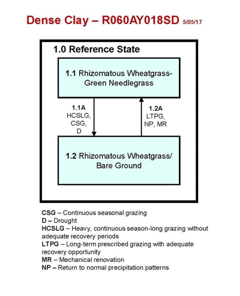 Model diagram