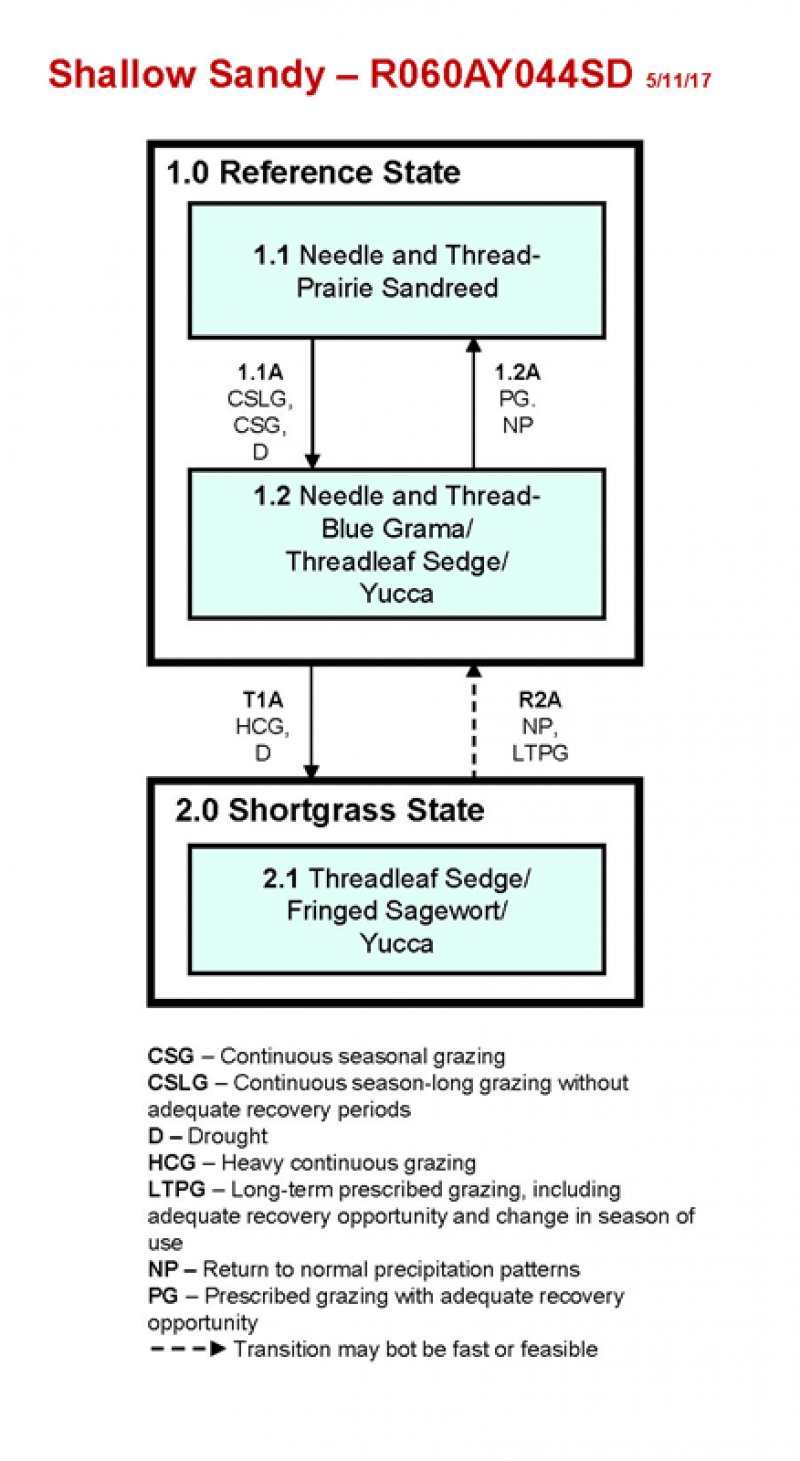 Model diagram