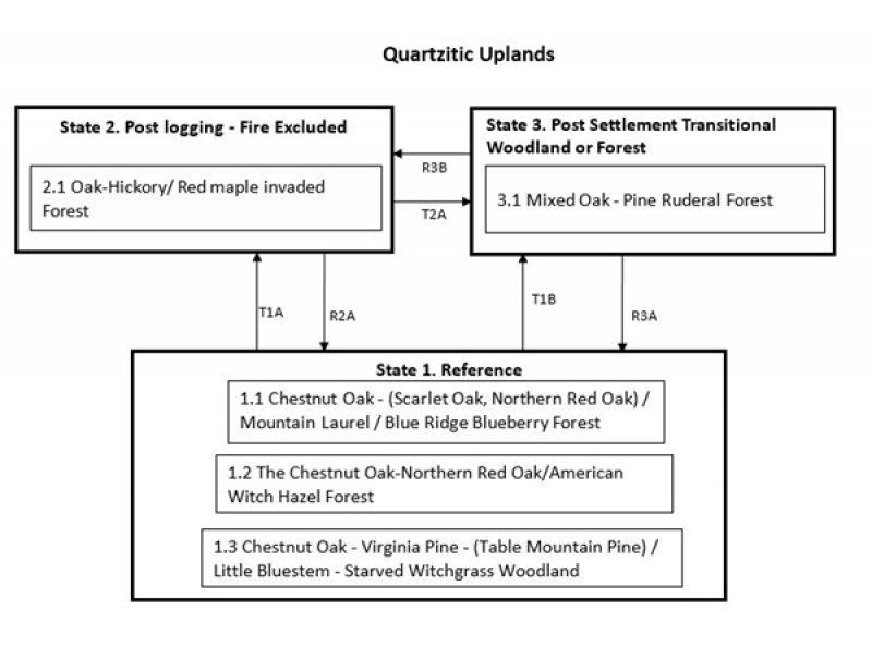 Model diagram