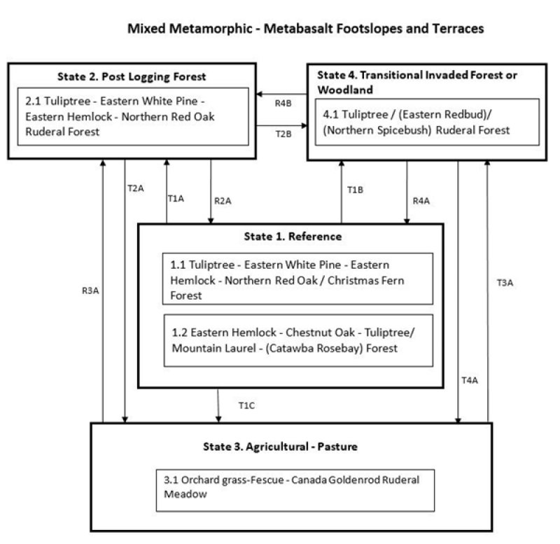 Model diagram