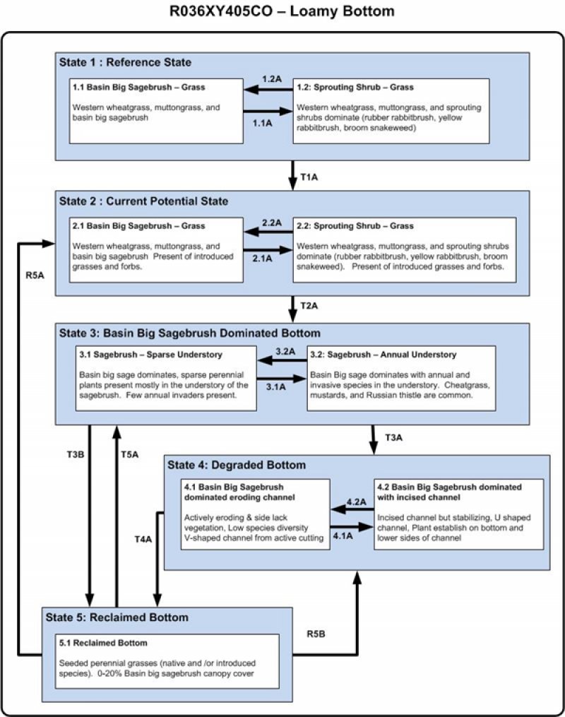 Model diagram