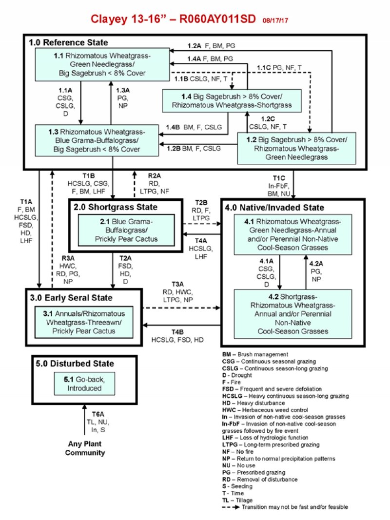 Model diagram