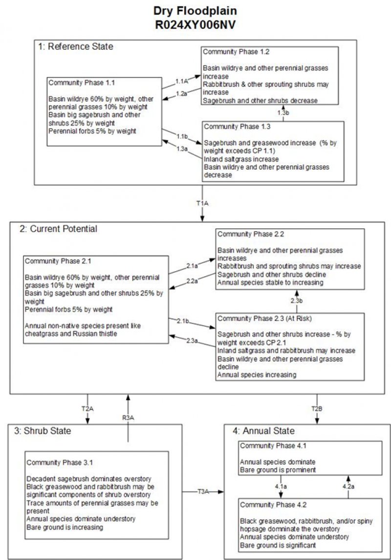 Model diagram