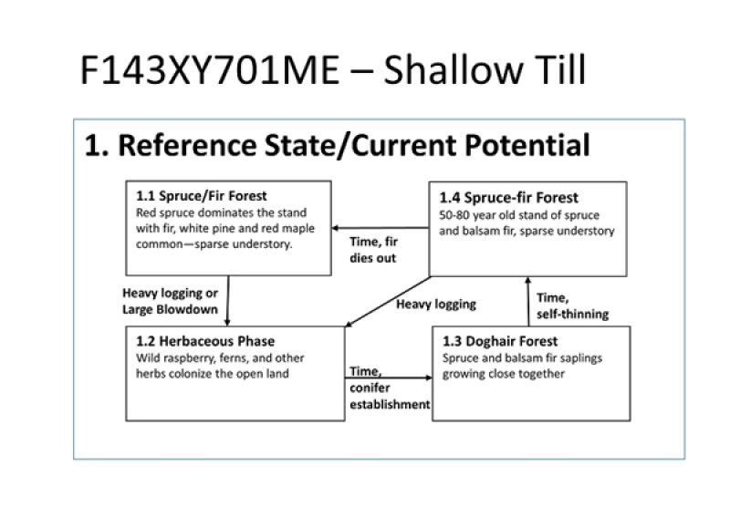 Model diagram