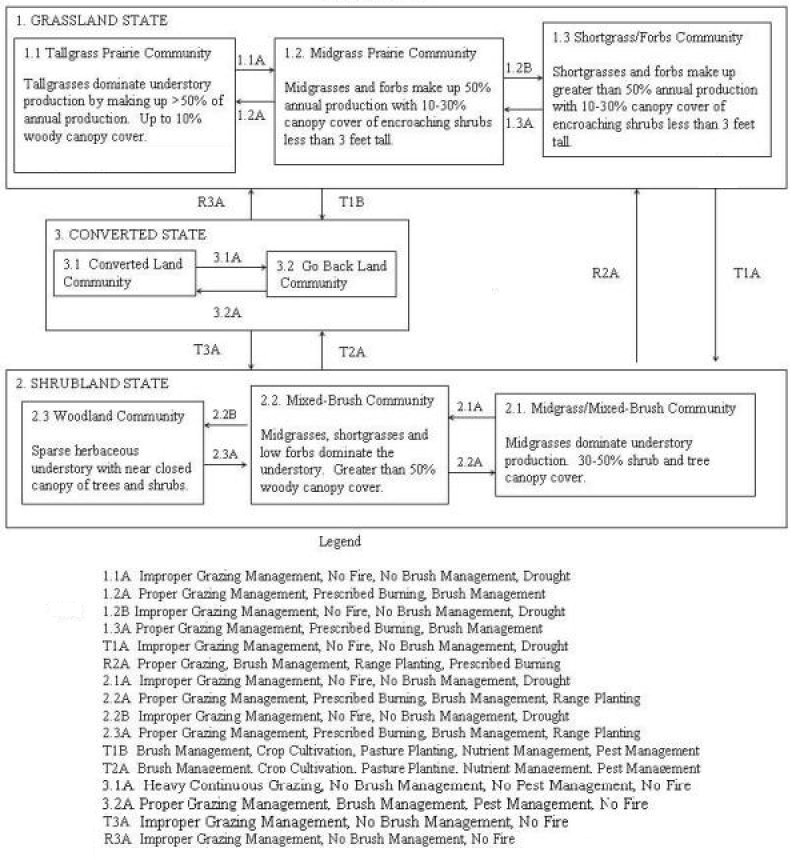 Model diagram