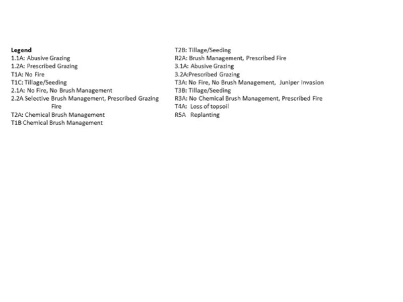 Model diagram