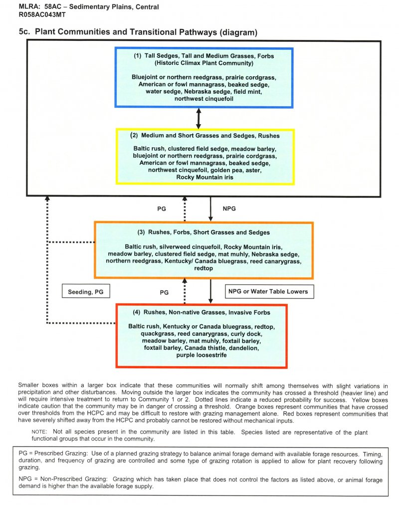 Model diagram