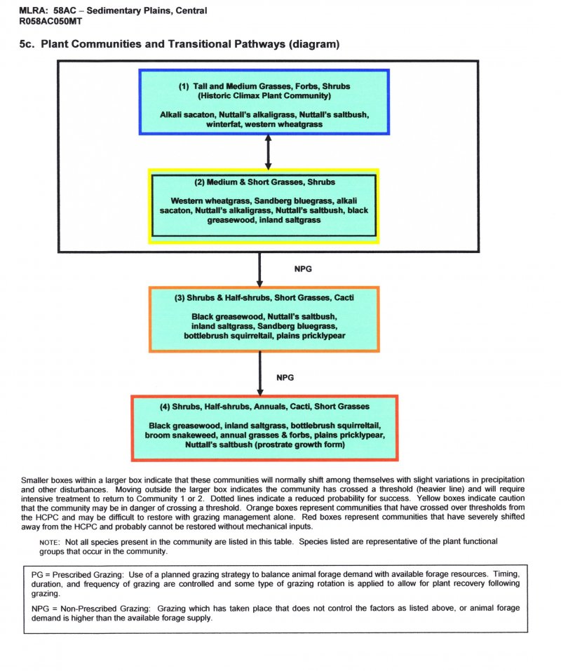 Model diagram