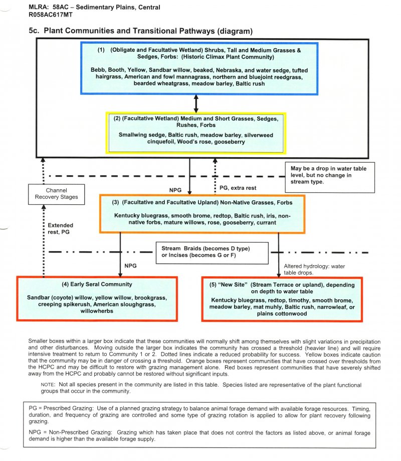 Model diagram