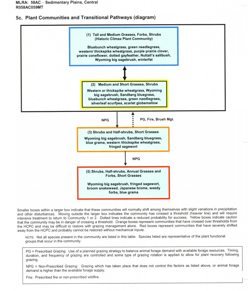 Model diagram