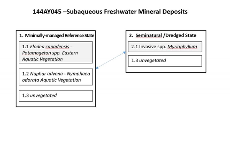Model diagram