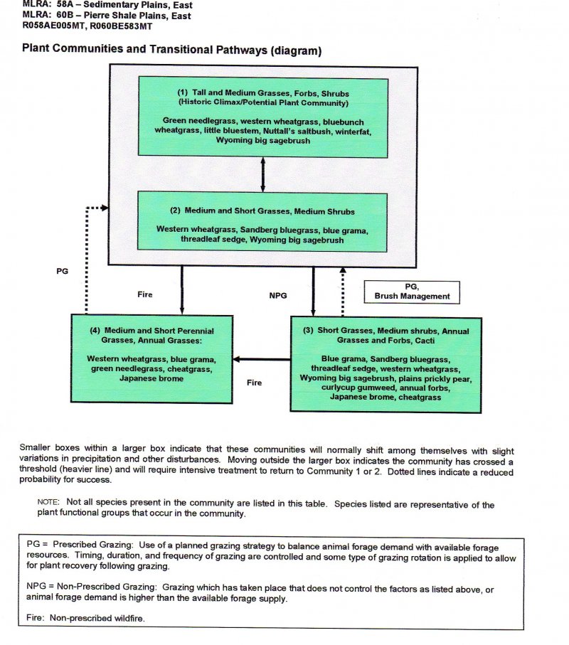 Model diagram