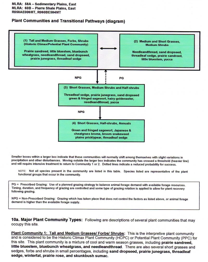 Model diagram