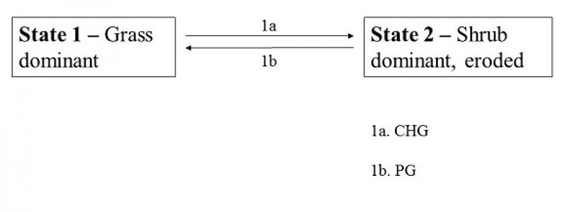 Model diagram