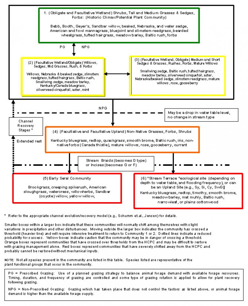 Model diagram