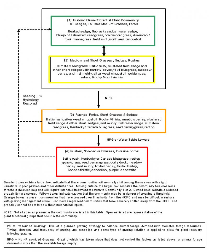 Model diagram