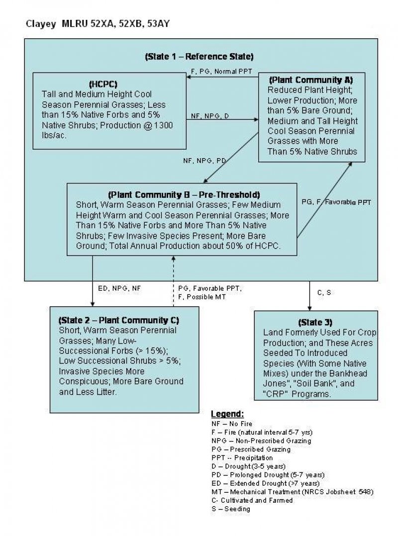 Model diagram