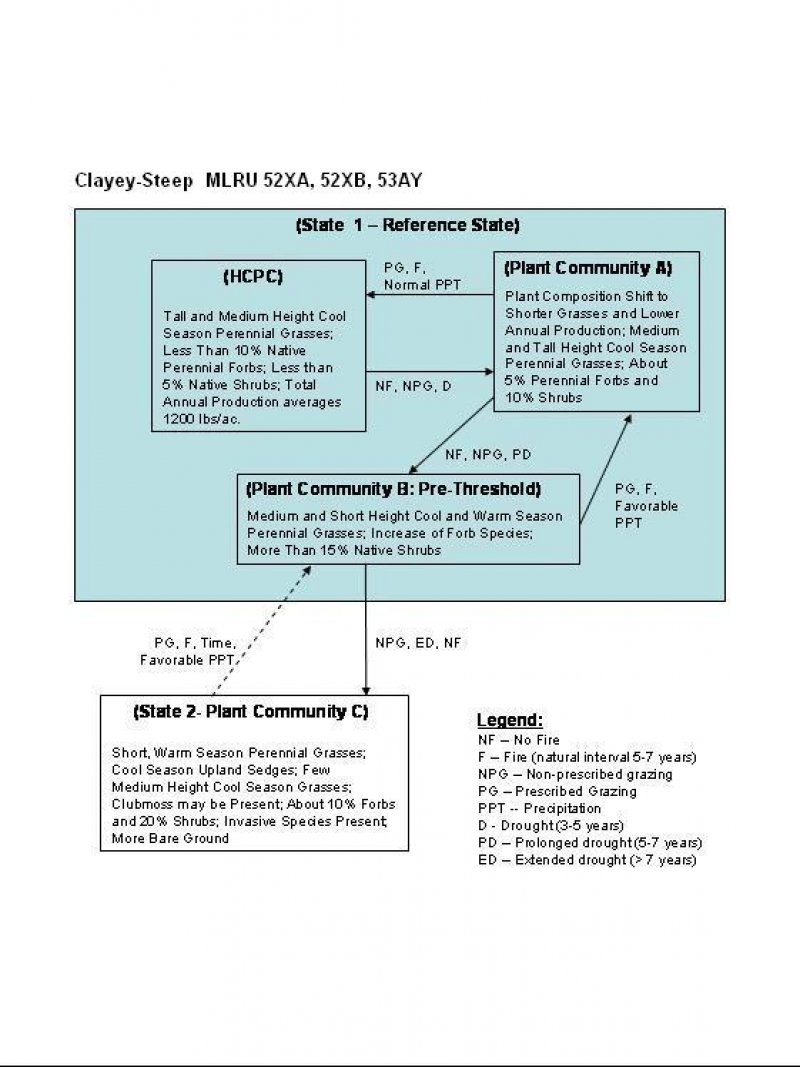 Model diagram